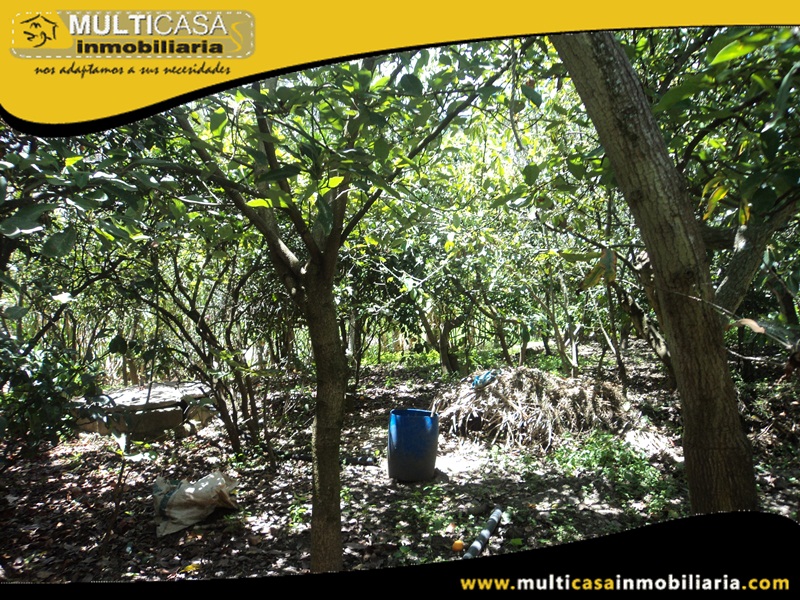 Terreno en Venta a Crédito Sector  Paute - Ecuador