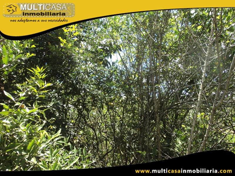 Terreno en Venta a Crédito Sector  Paute - Ecuador