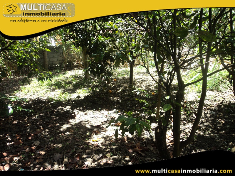 Terreno en Venta a Crédito Sector  Paute - Ecuador