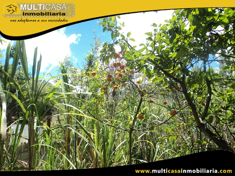 Terreno en Venta a Crédito Sector  Paute - Ecuador