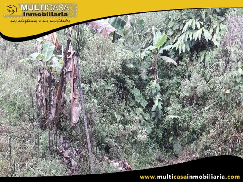 Terreno en Venta a Crédito Sector El Panecillo Morona Santiago Oriente - Ecuador