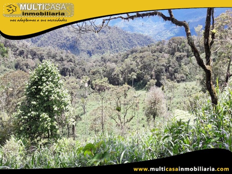 Terreno en Venta a Crédito Sector El Panecillo Morona Santiago Oriente - Ecuador