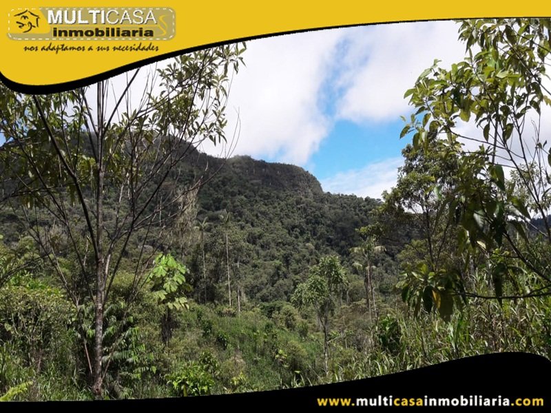 Terreno en Venta a Crédito Sector El Panecillo Morona Santiago Oriente - Ecuador