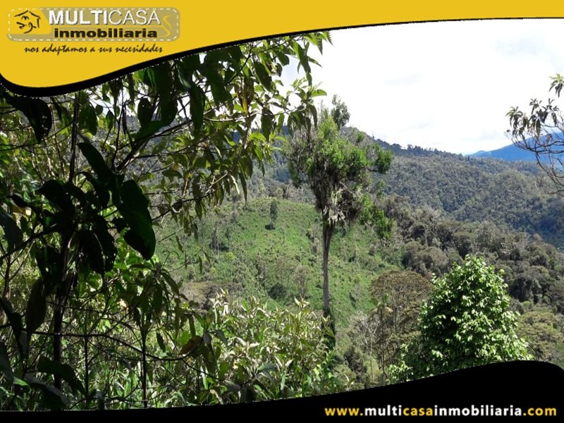 Terreno en Venta a Crédito Sector El Panecillo Morona Santiago Oriente - Ecuador