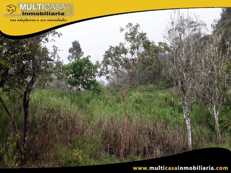 Terreno en Venta a Crédito Sector El Panecillo Morona Santiago Oriente - Ecuador