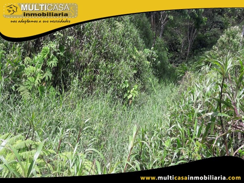 Terreno en Venta a Crédito Sector El Panecillo Morona Santiago Oriente - Ecuador