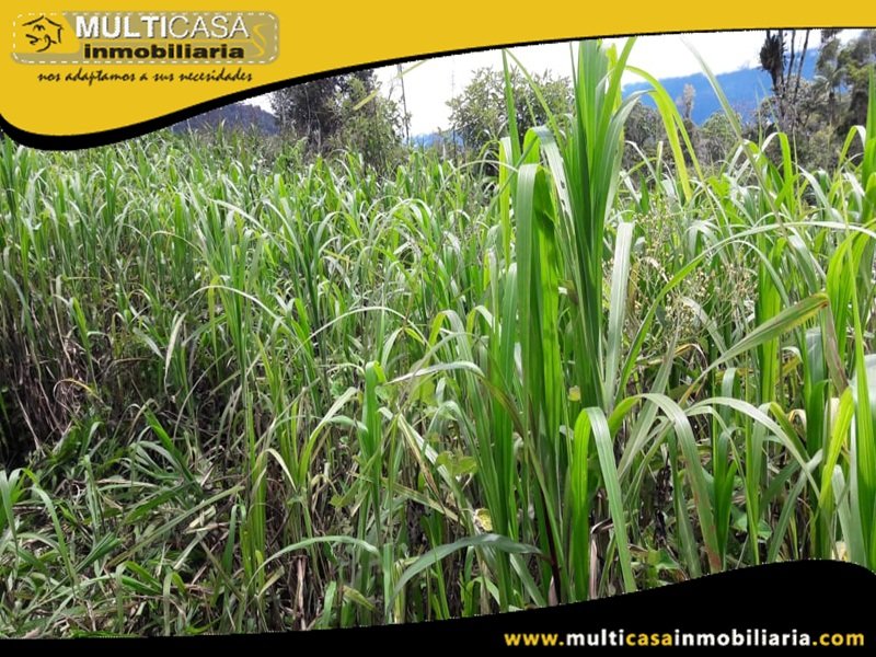 Terreno en Venta a Crédito Sector El Panecillo Morona Santiago Oriente - Ecuador
