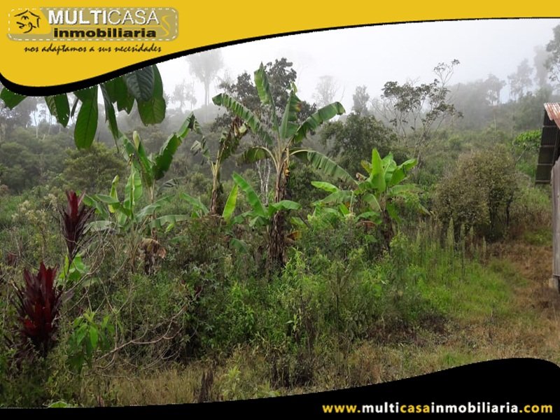 Terreno en Venta a Crédito Sector El Panecillo Morona Santiago Oriente - Ecuador