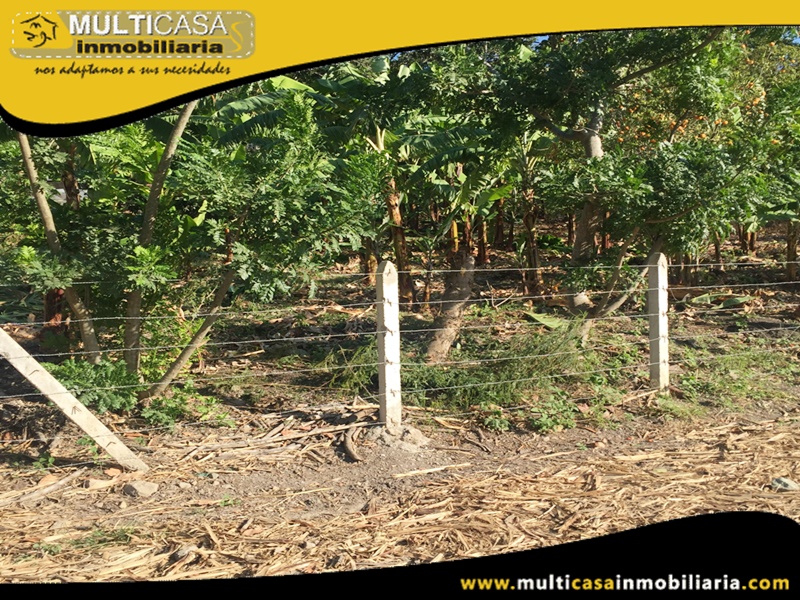 Lotes en Venta a Crédito Sector Yunguilla - Ecuador