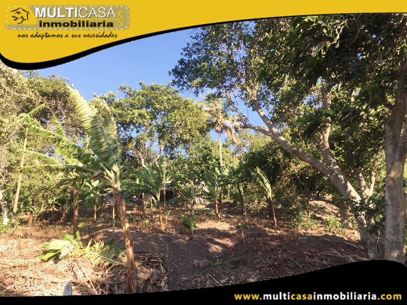 Lotes en Venta a Crédito Sector Yunguilla - Ecuador