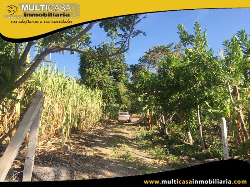Lotes en Venta a Crédito Sector Yunguilla - Ecuador