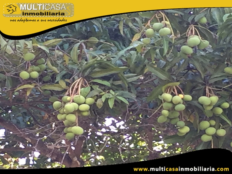 Lotes en Venta a Crédito Sector Yunguilla - Ecuador