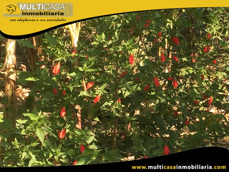 Hacienda en Venta a Crédito Sector Yunguilla-Ecuador