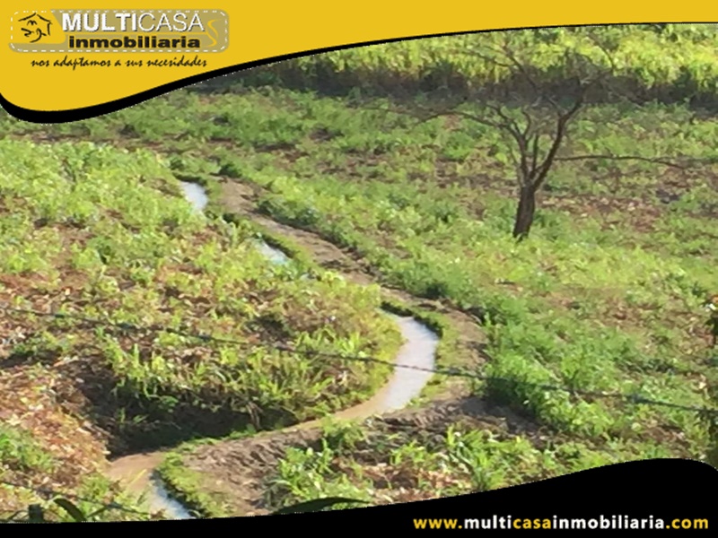 Hacienda en Venta a Crédito Sector Yunguilla-Ecuador