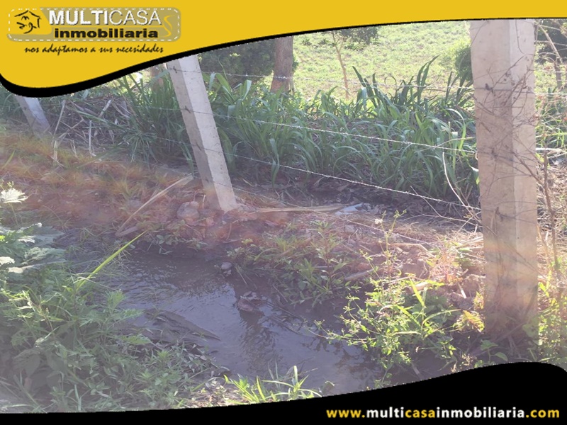Hacienda en Venta a Crédito Sector Yunguilla-Ecuador