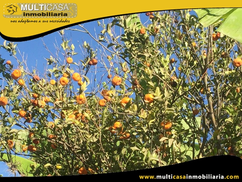Hacienda en Venta a Crédito Sector Yunguilla-Ecuador