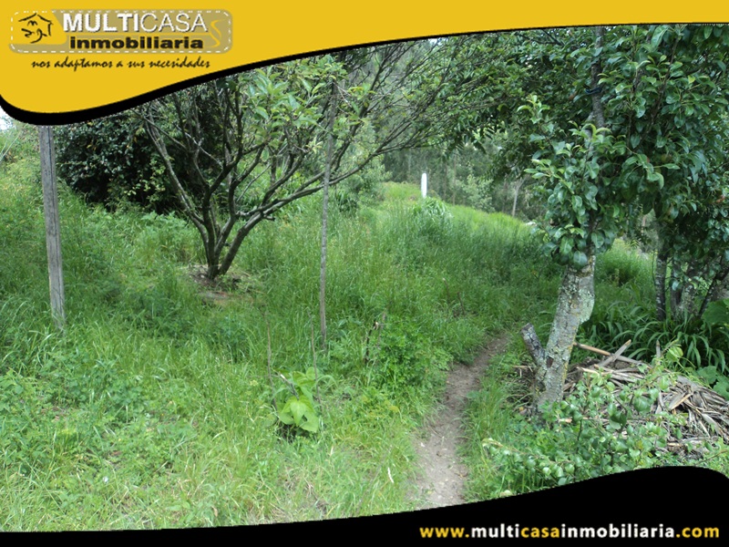 Terreno en Venta a Crédito Sector Los Cerezos Cuenca - Ecuador