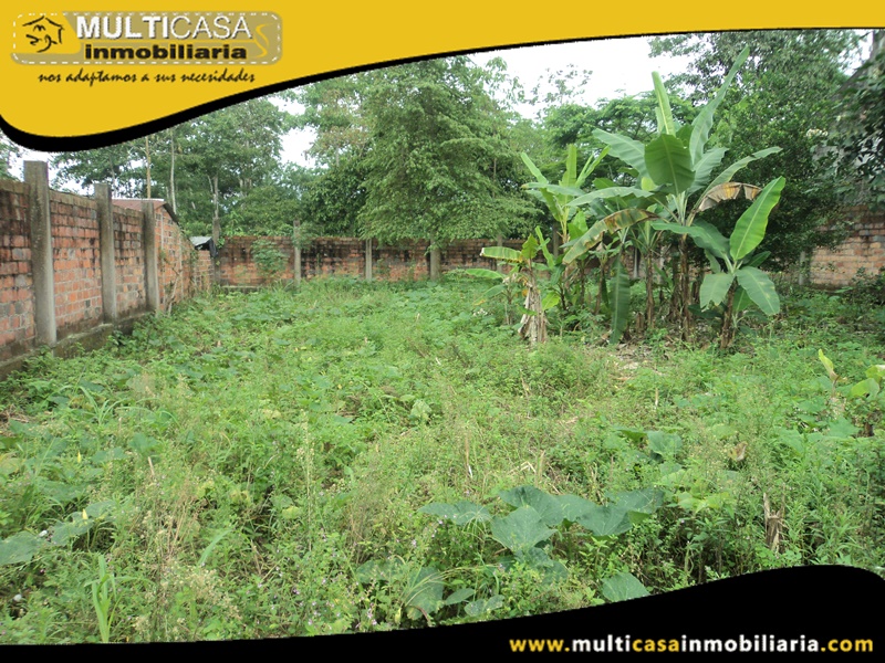 Terreno en Venta a Crédito Sector Barrio Nueva Esperanza- La Troncal-Ecuador