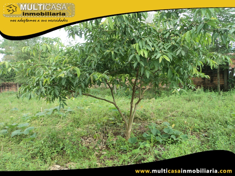 Terreno en Venta a Crédito Sector Barrio Nueva Esperanza- La Troncal-Ecuador