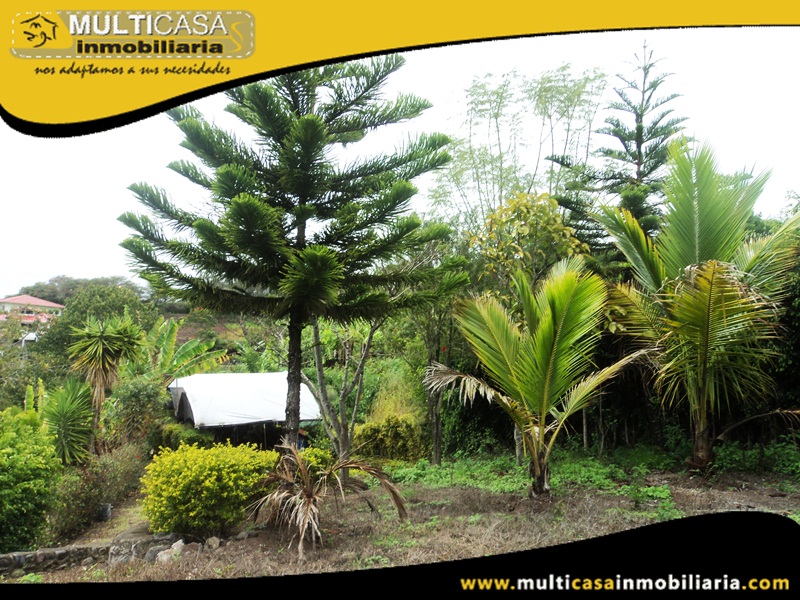Terreno en Venta a Crédito Sector Yunguilla - Ecuador