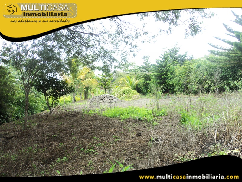 Terreno en Venta a Crédito Sector Yunguilla - Ecuador