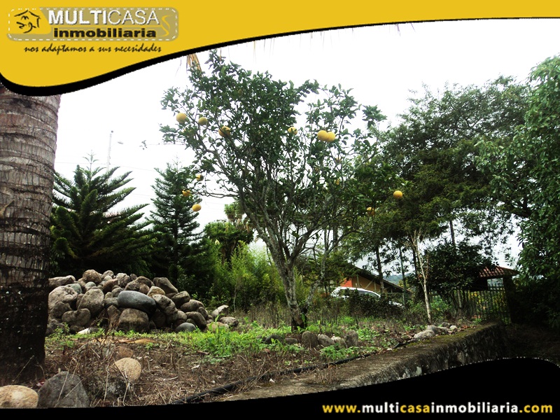 Terreno en Venta a Crédito Sector Yunguilla - Ecuador