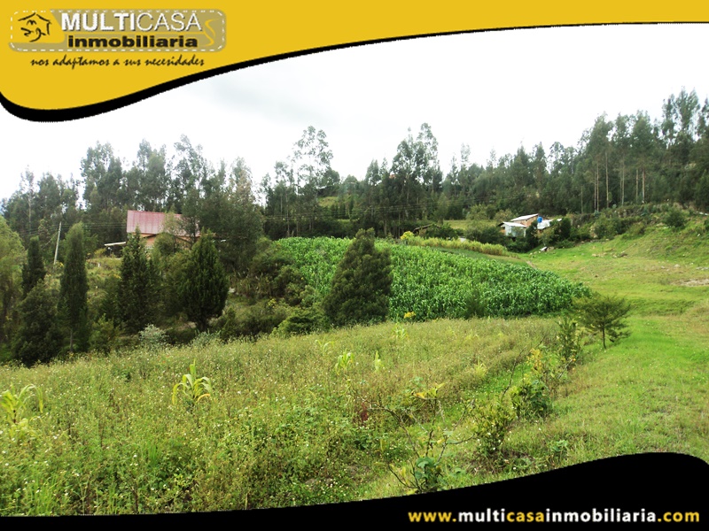 Terreno en Venta a Crédito Sector Llacao Cuenca-Ecuador