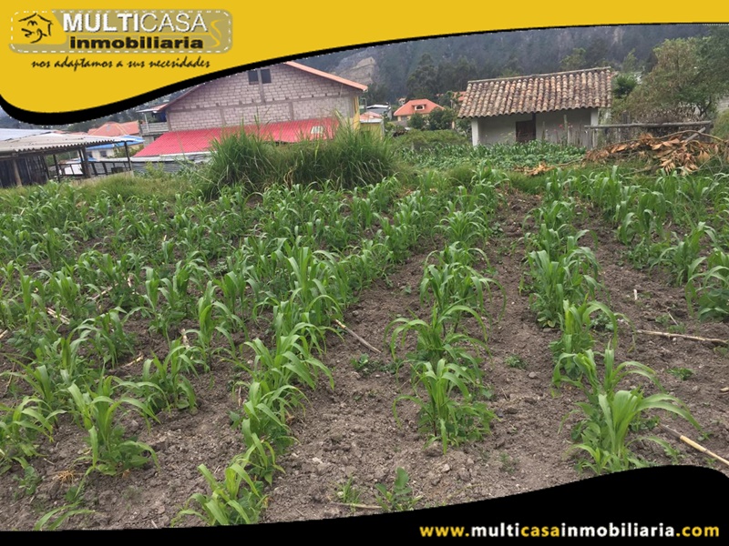 Terreno en Venta a Crédito Sector Ricaurte Cuenca-Ecuador