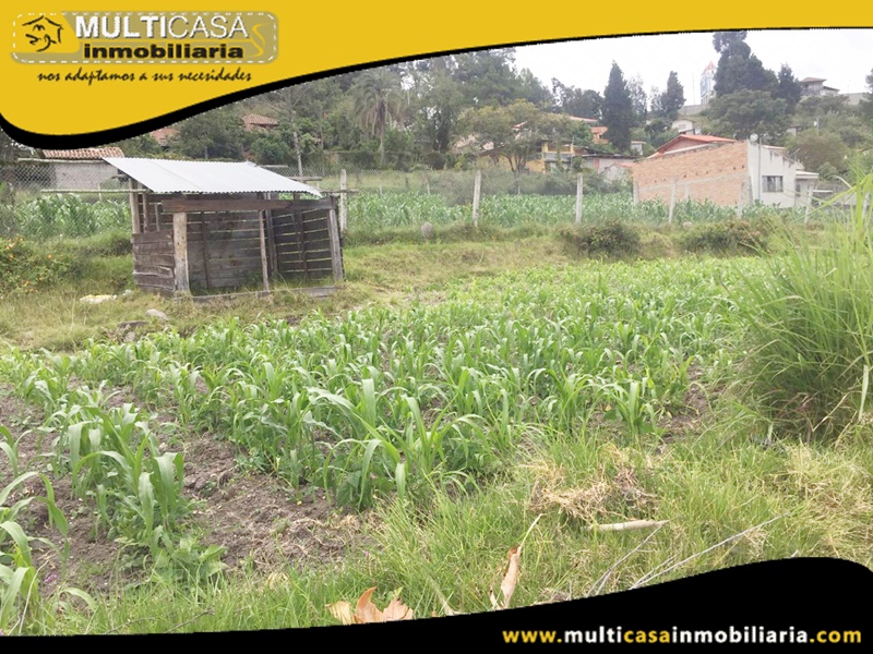 Terreno en Venta a Crédito Sector Ricaurte Cuenca-Ecuador