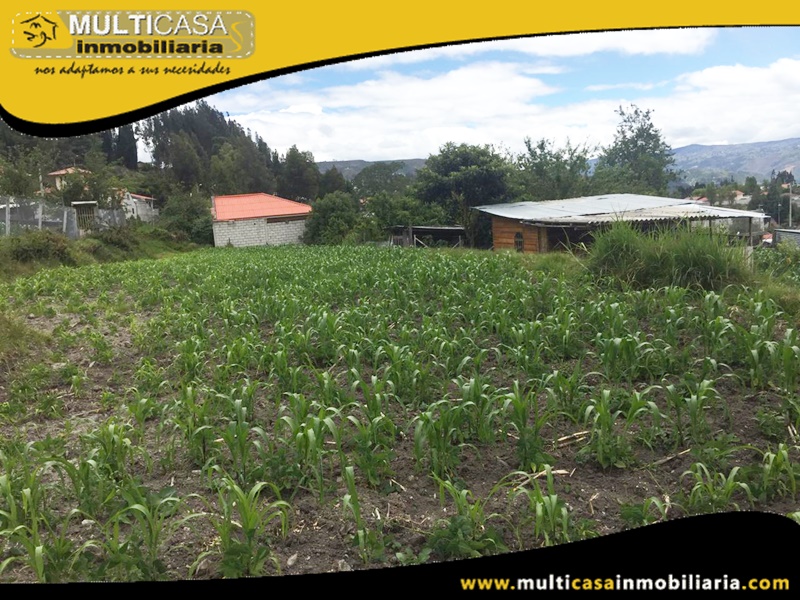 Terreno en Venta a Crédito Sector Ricaurte Cuenca-Ecuador
