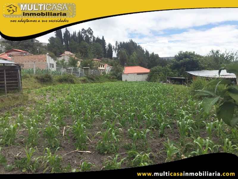 Terreno en Venta a Crédito Sector Ricaurte Cuenca-Ecuador