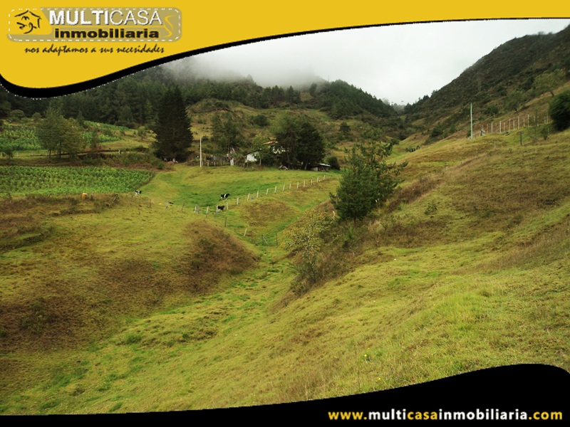 Terreno en Venta a Crédito Sector Totorillas Cumbe-Ecuador