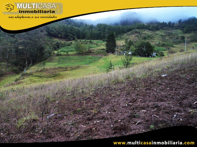 Terreno en Venta a Crédito Sector Totorillas Cumbe-Ecuador