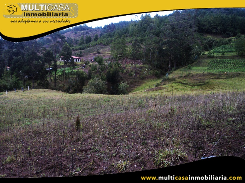 Terreno en Venta a Crédito Sector Totorillas Cumbe-Ecuador