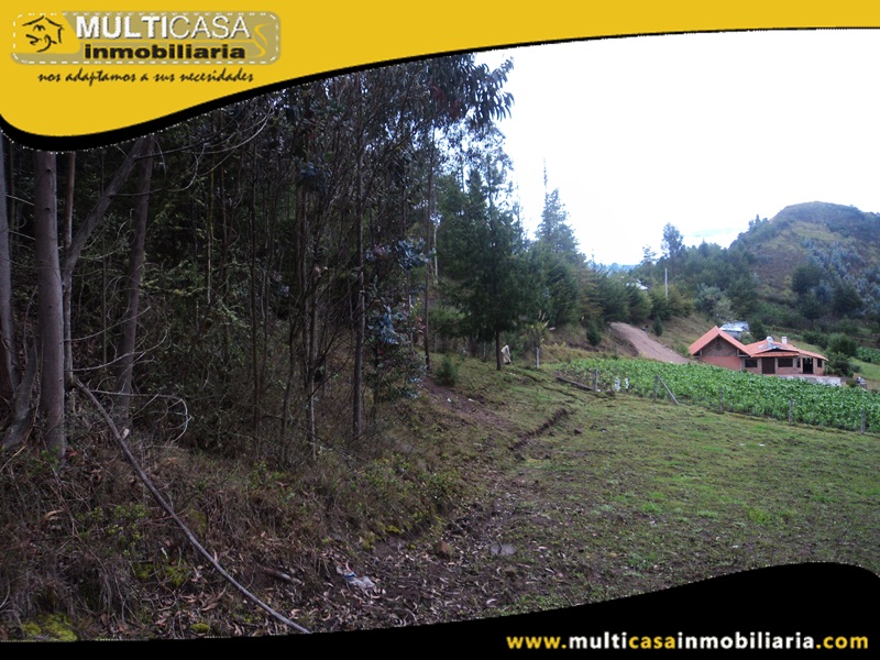 Terreno en Venta a Crédito Sector Totorillas Cumbe-Ecuador