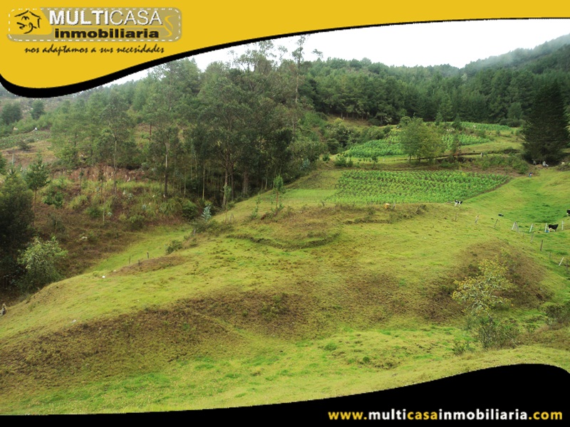 Terreno en Venta a Crédito Sector Totorillas Cumbe-Ecuador