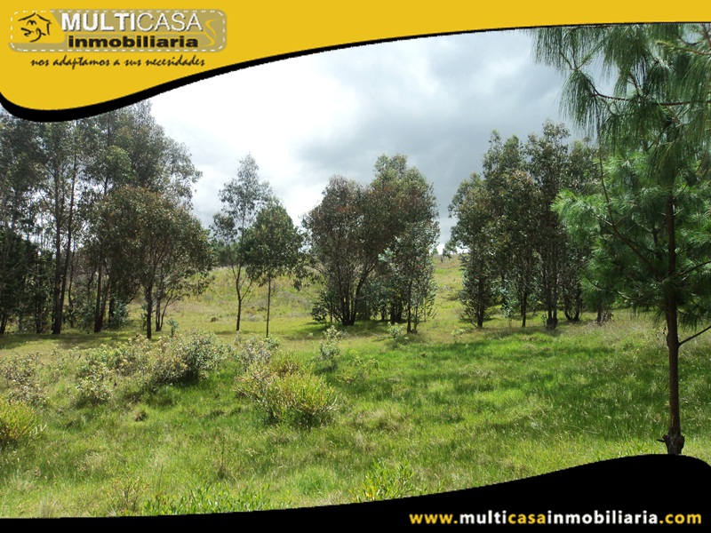 Quintas Vacacionales en Venta a Crédito Sector Susudel - Ecuador