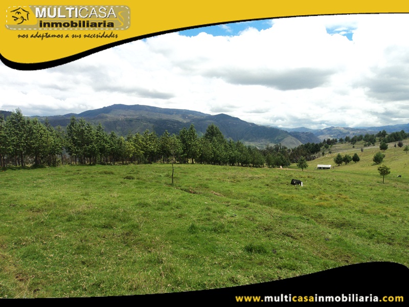 Hacienda en Venta a Crédito de 51 Hectáreas Sector Susudel - Ecuador