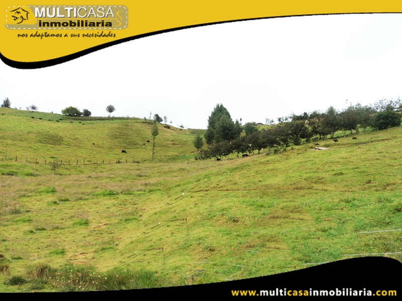Terreno de 5382.5 m2 en Venta a Crédito Sector San José de Raranga - Ecuador