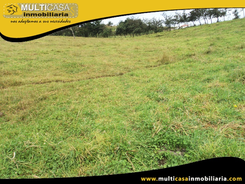 Terreno de 5382.5 m2 en Venta a Crédito Sector San José de Raranga - Ecuador