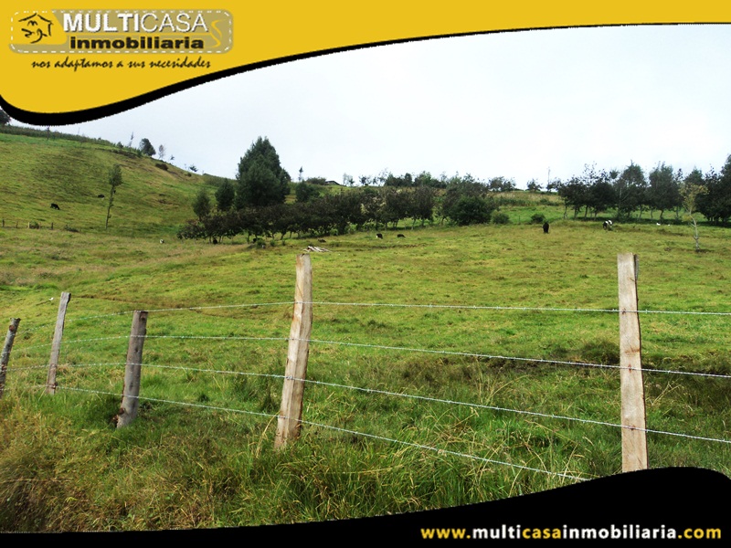 Terreno de 5382.5 m2 en Venta a Crédito Sector San José de Raranga - Ecuador