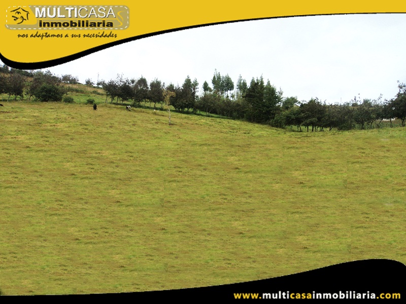 Terreno de 5382.5 m2 en Venta a Crédito Sector San José de Raranga - Ecuador