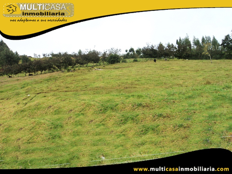 Terreno de 5382.5 m2 en Venta a Crédito Sector San José de Raranga - Ecuador