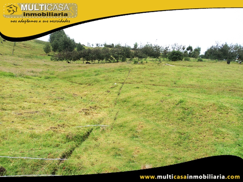 Terreno de 5382.5 m2 en Venta a Crédito Sector San José de Raranga - Ecuador