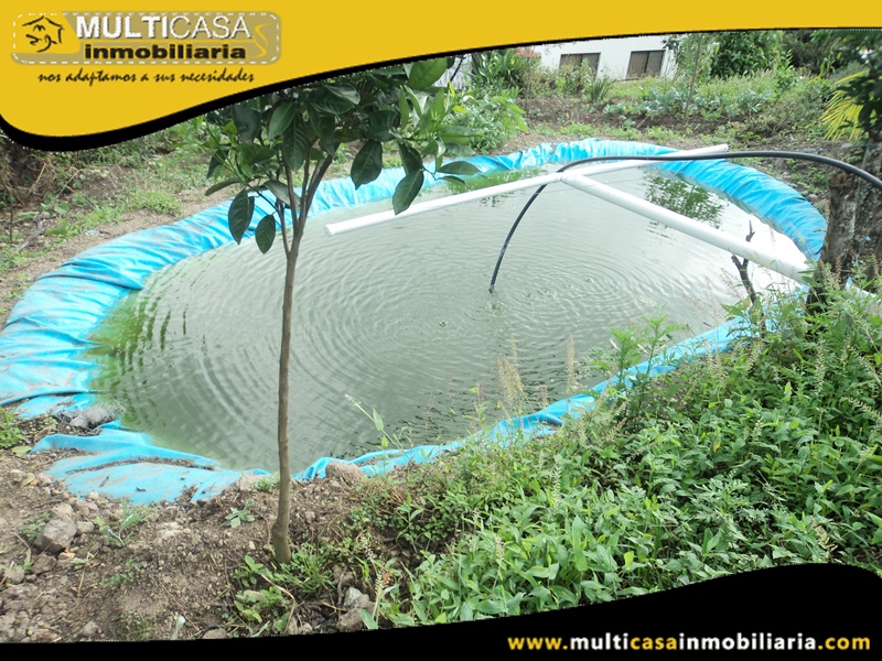 Quinta en Venta a Crédito Sector Cataviña-Yunguilla Cuenca-Ecuador