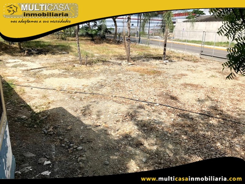 Terreno para Inversionistas en Venta a Crédito Sector Machala-Ecuador