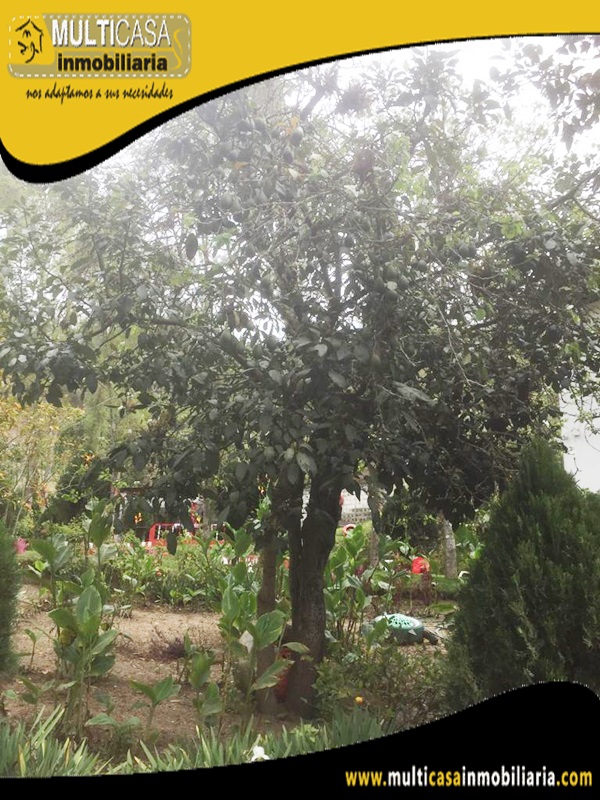 Quinta Amoblada en Venta a Crédito Sector Paute-Ecuador
