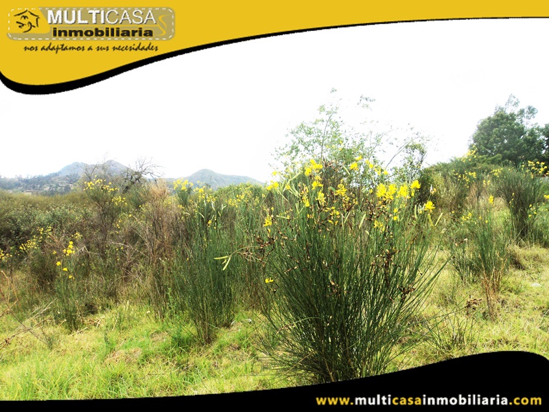 Terreno en Venta a  Crédito En Condominio con licencia Urbanistica Sector Challuabamba Cuenca-Ecuador