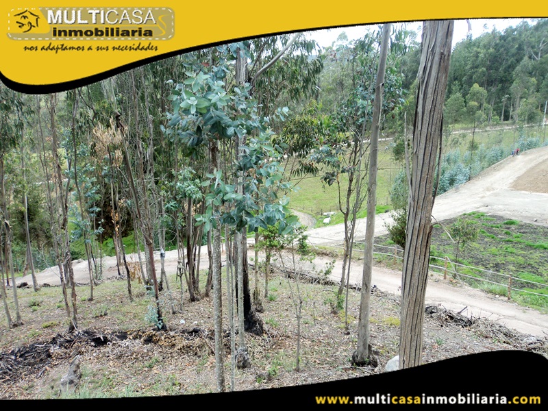 Lotes en Venta a Crédito Sector Tarqui- Irquis -Ecuador