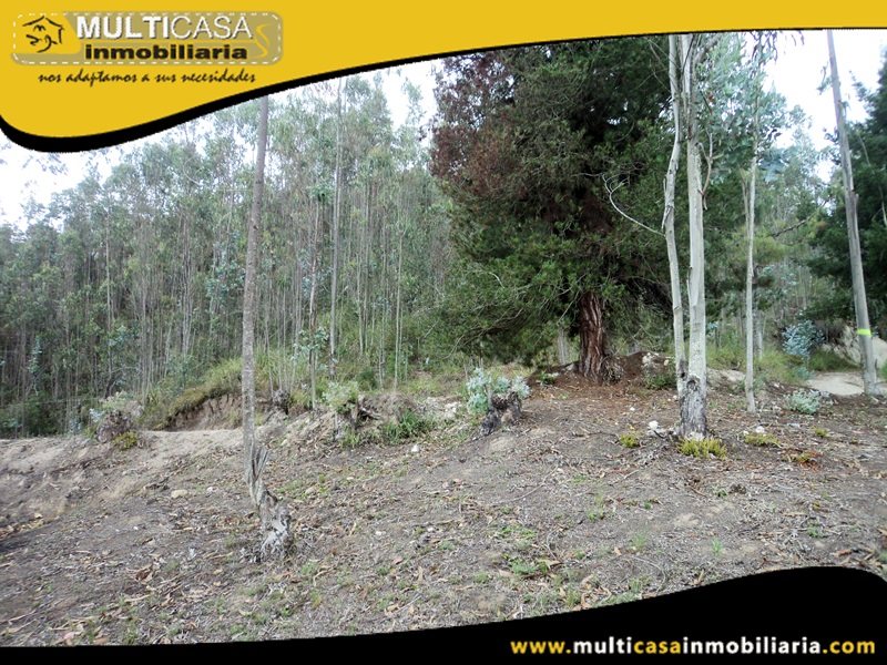 Lotes en Venta a Crédito Sector Tarqui- Irquis -Ecuador